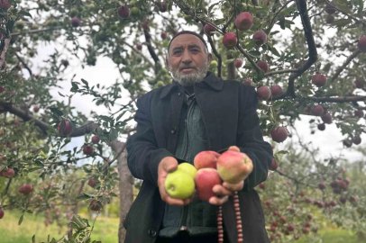 Van’da bir ağaçta hem kırmızı hem yeşil elma
