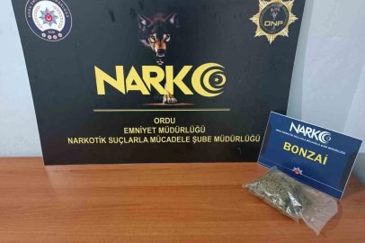 Ordu’da uyuşturucu operasyonunda 1 tutuklama
