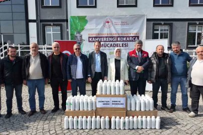 Çiftçinin kabusu kahverengi kokarcaya karşı seferberlik başlatıldı
