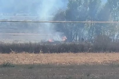 Tavşanlı’da arazi yangını
