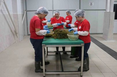 Efeler’in yöresel ürün çeşitliliği 63’e yükseldi
