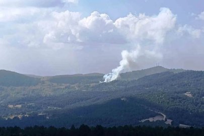 Hisarcık’ta ormana sıçrayan yangında 6 dekar alan zarar gördü
