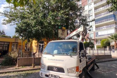Efeler’de yeşil alanlara bakım
