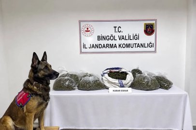 Bingöl’de jandarmadan bir haftada 25 olaya müdahale
