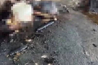 Silivri’de ahır yangını faciayla sonuçlandı: 24 büyükbaş hayvan telef oldu
