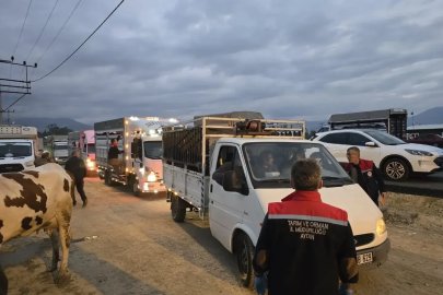 Nazilli Hayvan Pazarı açıldı, denetimler sıkılaştırıldı

