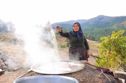 Bağlardan kazanlara uzanan pekmez mesaisi
