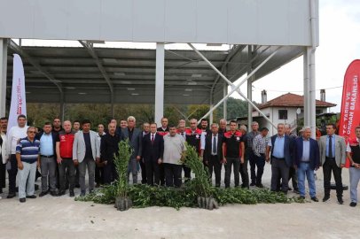 Muğla’da Defne ihracatından 75 milyon dolar bekleniyor
