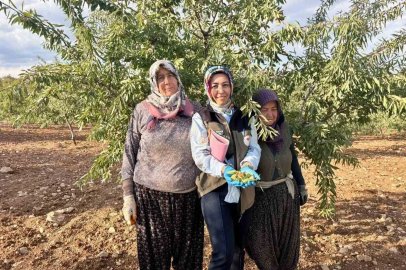 Meyve bahçelerinde ürün verimliliği için kontroller sürüyor
