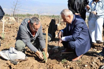 Karabük’te 250 fidan toprakla buluştu
