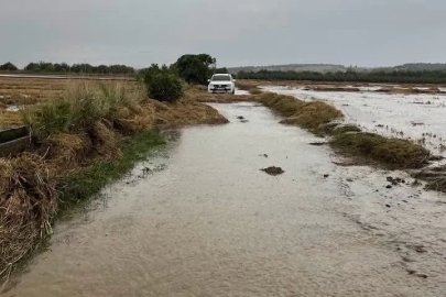 Gönen Sarıköy Ovası’nda çeltik tarlalarını su bastı
