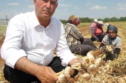 Altun’dan ’15 Ekim Dünya Kadın Çiftçiler Günü’ mesajı
