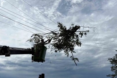 Hopa’da elektrik arıza ekiplerinin rüzgâr mesaisi

