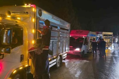 Çine Hayvan Pazarı denetimlerle yeniden açıldı
