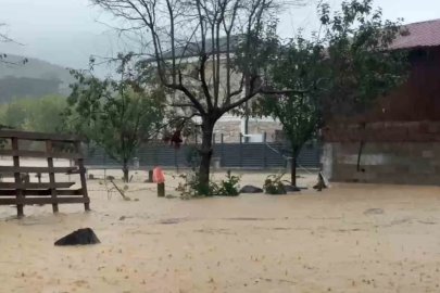 Sakarya’da sel bir mahalleyi sulara gömdü: 60 bin kanatlı hayvan telef oldu
