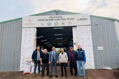 Bu tesiste yılda 400 ton ceviz kurutuluyor

