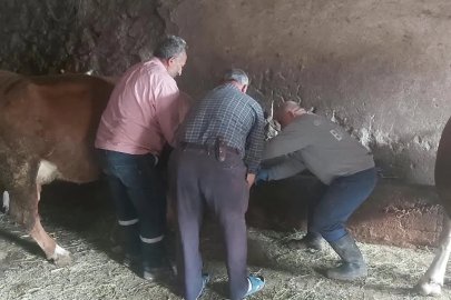 Aydıntepe’de yavru atık bildirimi üzerine saha çalışması yapıldı
