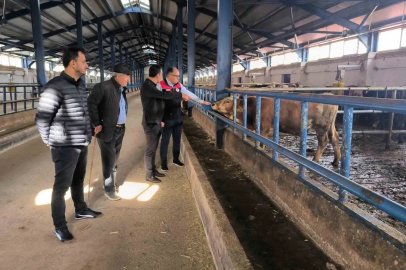 Bayburt’ta yüzde 50 hibe desteğiyle kurulan hayvancılık işletmesi incelendi
