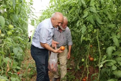 Gebze Belediyesinden çiftçilere tarımsal üretim desteği
