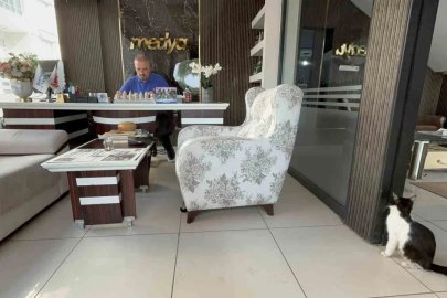 Matbaanın kapılarını sokak kedilerine açtılar
