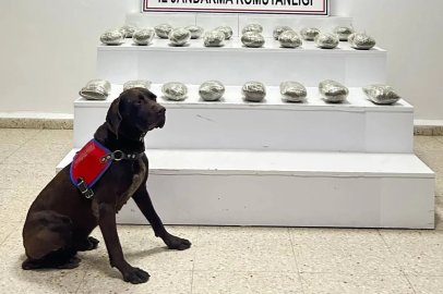 Başkale’de 10 kilo toz esrar ele geçirildi

