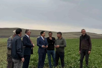 Akyaka Kaymakamı Demirtaş, şeker pancarı hasadına katıldı
