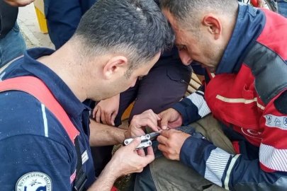 İskenderun’da ağaca takılan güvercin itfaiye ekiplerince kurtarıldı
