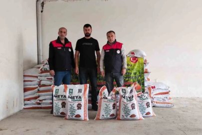 Palu’da üreticilere yüzde 70 hibeli kırmızı mercimek tohumu dağıtıldı
