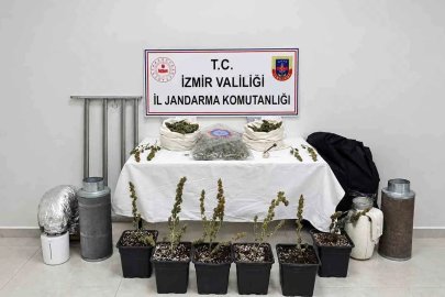 İzmir’de saksıda uyuşturucu yetiştiren şüpheli yakalandı

