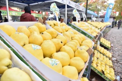 7. Kartepe Ayva Festivali ertelendi
