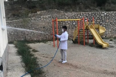 Böcek ve kemirgenlere karşı mücadele sürüyor
