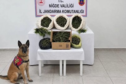 Niğde’de 10 kilo uyuşturucu ele geçirildi
