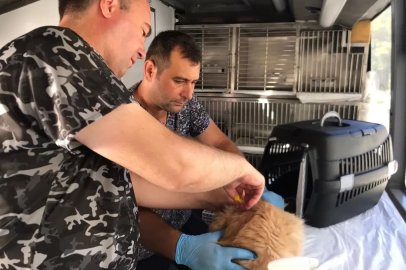 Can Dost’un yeni rotası belli oldu
