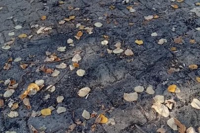 Bilecik’te parkın ortasında ateş yaktılar
