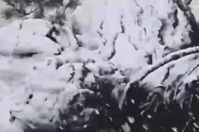 Muğla’ya sezonun ilk karı yağdı
