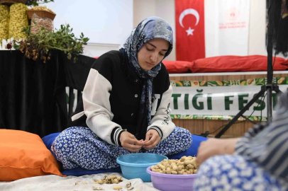 Osmaniye’de üniversiteli kızlar fıstık kırma yarışmasında kıyasıya mücadele etti

