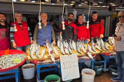 Bandırma’da palamut bereketi, vatandaş kasa kasa balık alıyor

