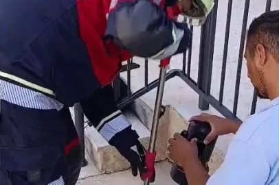 Havalandırma borusunda ölümü bekleyen yavru kediyi miyavlaması kurtardı
