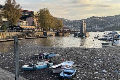 Limanda şaşırtan görüntü
