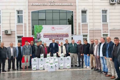 Düzce’de 14 bin samuray arısı doğaya salındı
