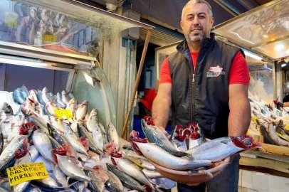 Tezgahların şampiyonu ’palamut’
