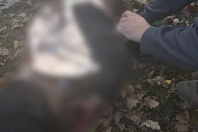 Rusya Ukrayna’da parkı vurdu: 3’ü çocuk 6 ölü
