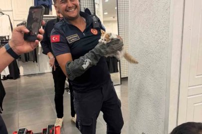 İtfaiye ekipleri duvarda mahsur kalan kedi ile parmaklıklara sıkışan köpeği kurtardı
