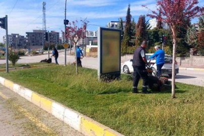 Adıyaman’ın yeşil alanlarında kış hazırlığı
