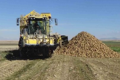 Konya Ovası’nda hasat mesaisi sürüyor
