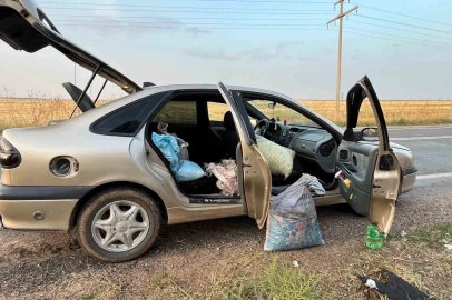 Şanlıurfa’da 4 fıstık hırsızı suçüstü yakalandı
