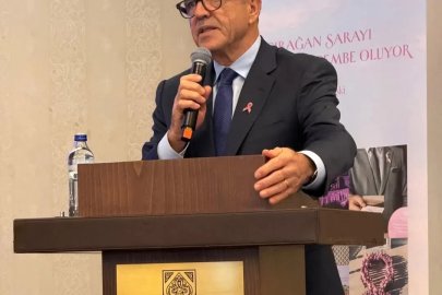 Prof. Dr. Vahit Özmen: "Meme kanseri tarama yaşı 74’e çıkarılmalı"

