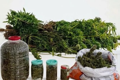 Ordu’da uyuşturucu operasyonunda 1 tutuklama

