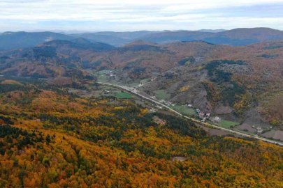 Küre Dağları Milli Parkında renk cümbüşü yaşanan ormanlar büyülüyor
