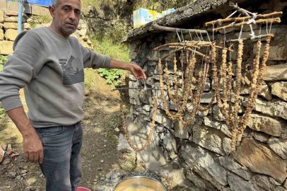 Diyarbakır’da bağ bozumu başladı
